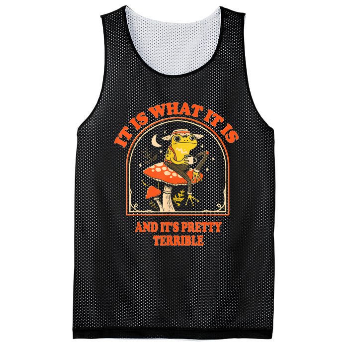 It Is What It Is And ItS Pretty Terrible Funny Design Mesh Reversible Basketball Jersey Tank