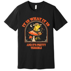 It Is What It Is And ItS Pretty Terrible Funny Design Premium T-Shirt