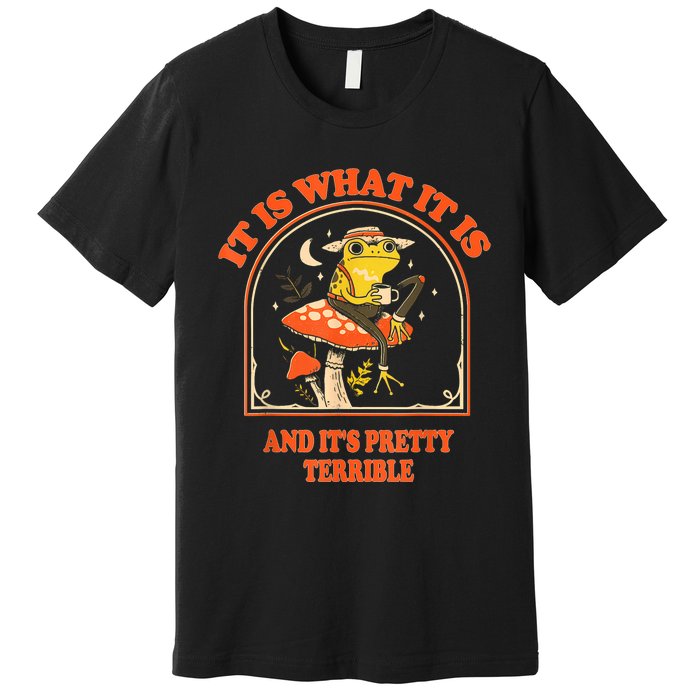 It Is What It Is And ItS Pretty Terrible Funny Design Premium T-Shirt