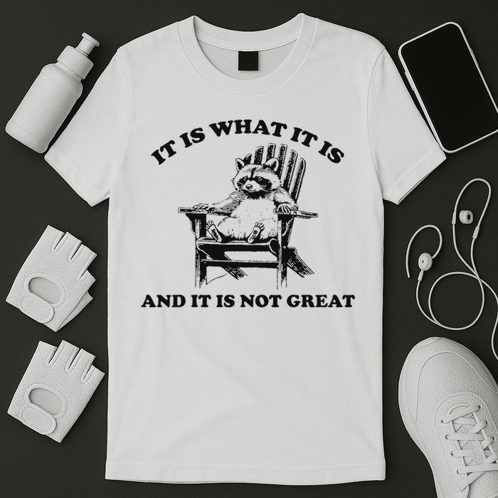 It Is What It Is And It Is Not Great Raccoon T-Shirt