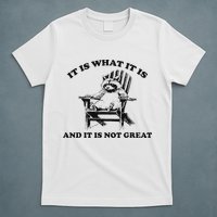 It Is What It Is And It Is Not Great Raccoon T-Shirt