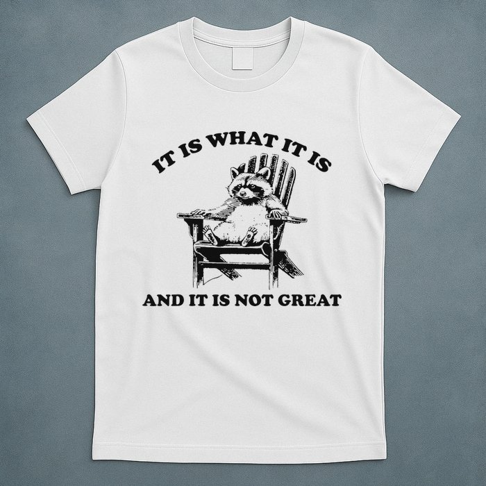 It Is What It Is And It Is Not Great Raccoon T-Shirt