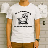 It Is What It Is And It Is Not Great Raccoon T-Shirt