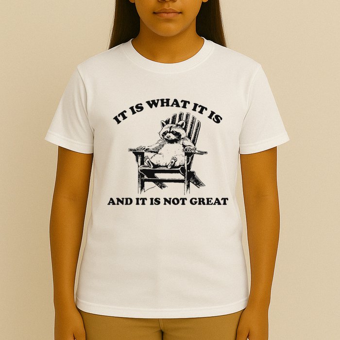It Is What It Is And It Is Not Great Raccoon T-Shirt