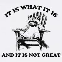 It Is What It Is And It Is Not Great Raccoon T-Shirt