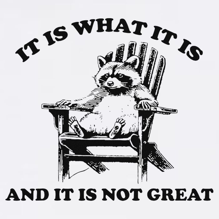 It Is What It Is And It Is Not Great Raccoon T-Shirt