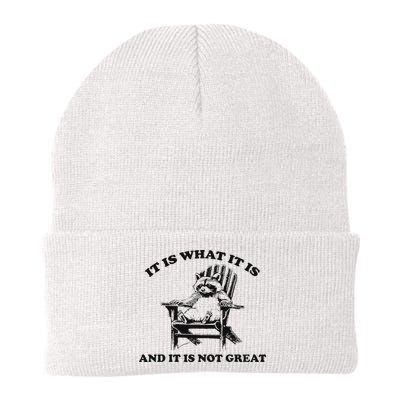 It Is What It Is And It Is Not Great Raccoon Knit Cap Winter Beanie