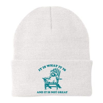 It Is What It Is And It Is Not Great Knit Cap Winter Beanie
