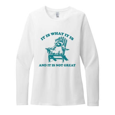 It Is What It Is And It Is Not Great Womens CVC Long Sleeve Shirt