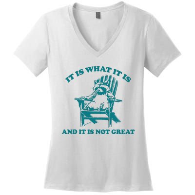 It Is What It Is And It Is Not Great Women's V-Neck T-Shirt