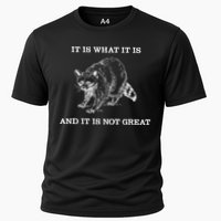 It Is What It Is And It Is Not Great Funny Raccoon Meme Cooling Performance Crew T-Shirt