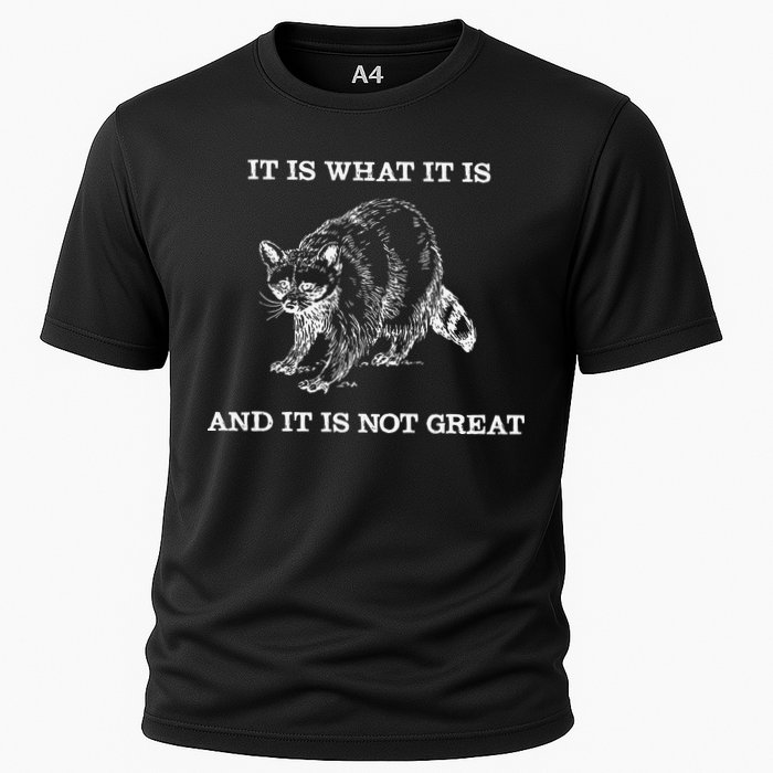 It Is What It Is And It Is Not Great Funny Raccoon Meme Cooling Performance Crew T-Shirt