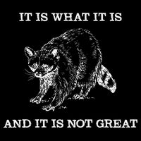 It Is What It Is And It Is Not Great Funny Raccoon Meme Cooling Performance Crew T-Shirt