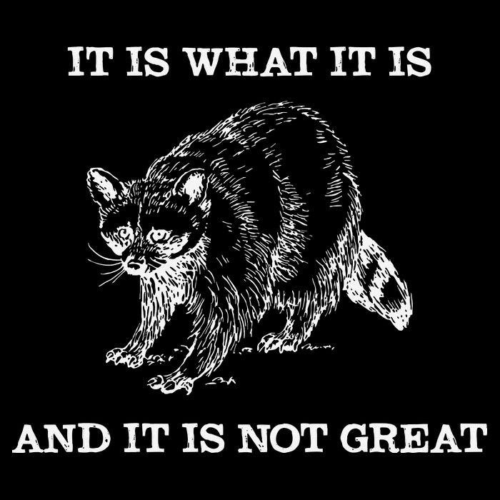 It Is What It Is And It Is Not Great Funny Raccoon Meme Cooling Performance Crew T-Shirt