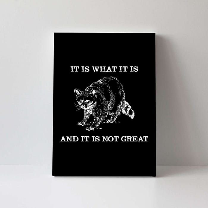 It Is What It Is And It Is Not Great Funny Raccoon Meme Canvas