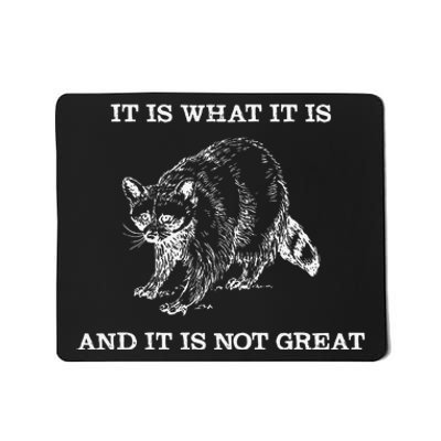 It Is What It Is And It Is Not Great Funny Raccoon Meme Mousepad