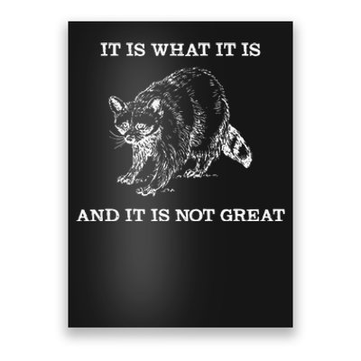 It Is What It Is And It Is Not Great Funny Raccoon Meme Poster