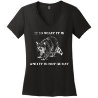 It Is What It Is And It Is Not Great Funny Raccoon Meme Women's V-Neck T-Shirt