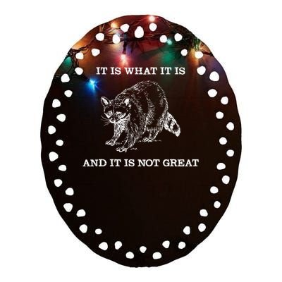 It Is What It Is And It Is Not Great Funny Raccoon Meme Ceramic Oval Ornament