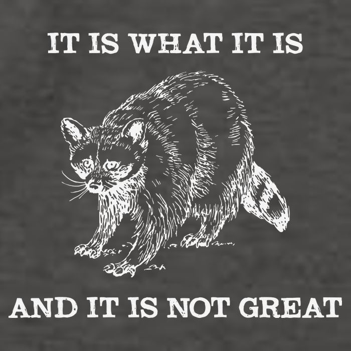 It Is What It Is And It Is Not Great Funny Raccoon Meme Vector Backpack