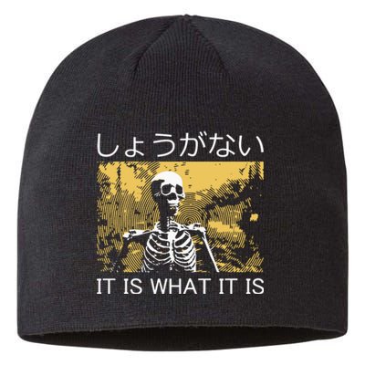 It Is What It Is Skeleton Washed Sustainable Beanie