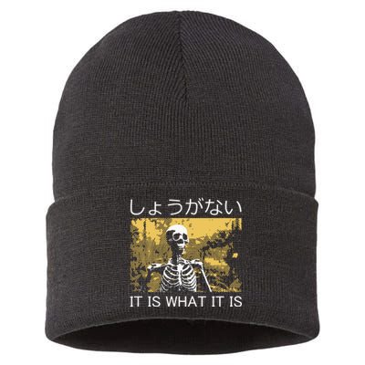 It Is What It Is Skeleton Washed Sustainable Knit Beanie