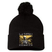 It Is What It Is Skeleton Washed Pom Pom 12in Knit Beanie