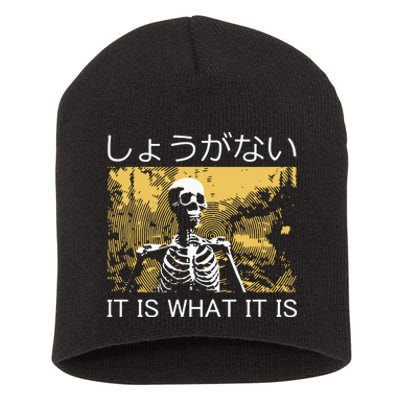 It Is What It Is Skeleton Washed Short Acrylic Beanie