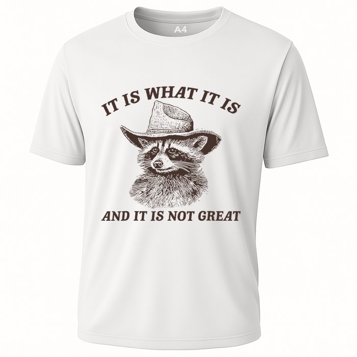 It Is What It Is And It Is Not Great Raccoon Cooling Performance Crew T-Shirt