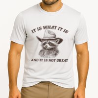It Is What It Is And It Is Not Great Raccoon Cooling Performance Crew T-Shirt