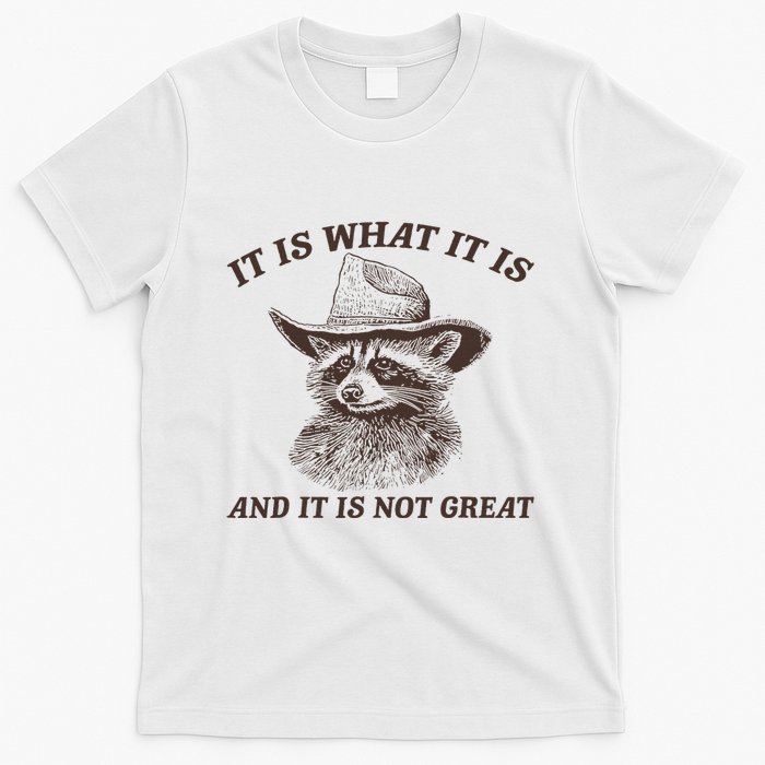 It Is What It Is And It Is Not Great Raccoon T-Shirt