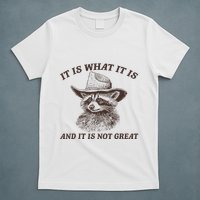 It Is What It Is And It Is Not Great Raccoon T-Shirt