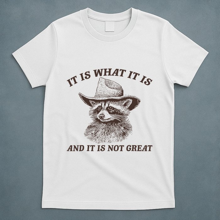 It Is What It Is And It Is Not Great Raccoon T-Shirt