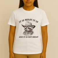 It Is What It Is And It Is Not Great Raccoon T-Shirt