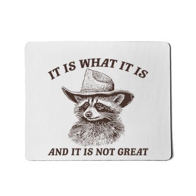 It Is What It Is And It Is Not Great Raccoon Mousepad