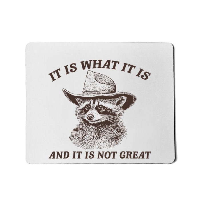 It Is What It Is And It Is Not Great Raccoon Mousepad