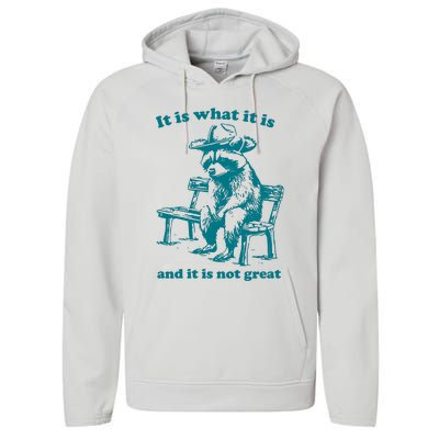 It Is What It Is And It Is Not Great Funny Raccoon Sarcastic Performance Fleece Hoodie