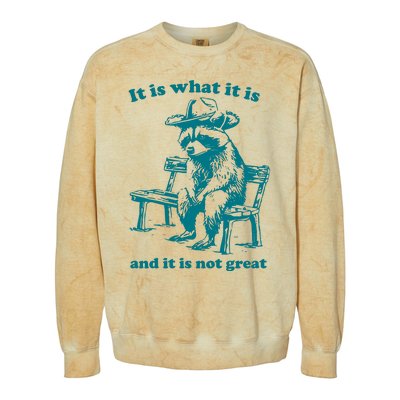 It Is What It Is And It Is Not Great Funny Raccoon Sarcastic Colorblast Crewneck Sweatshirt