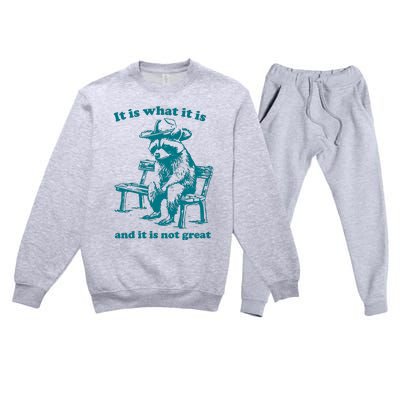 It Is What It Is And It Is Not Great Funny Raccoon Sarcastic Premium Crewneck Sweatsuit Set