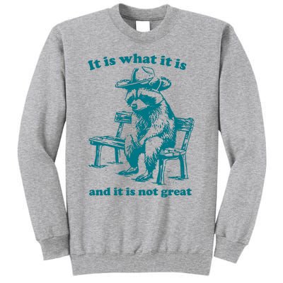 It Is What It Is And It Is Not Great Funny Raccoon Sarcastic Tall Sweatshirt