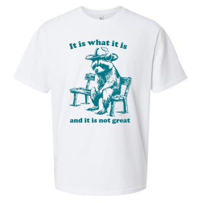 It Is What It Is And It Is Not Great Funny Raccoon Sarcastic Sueded Cloud Jersey T-Shirt