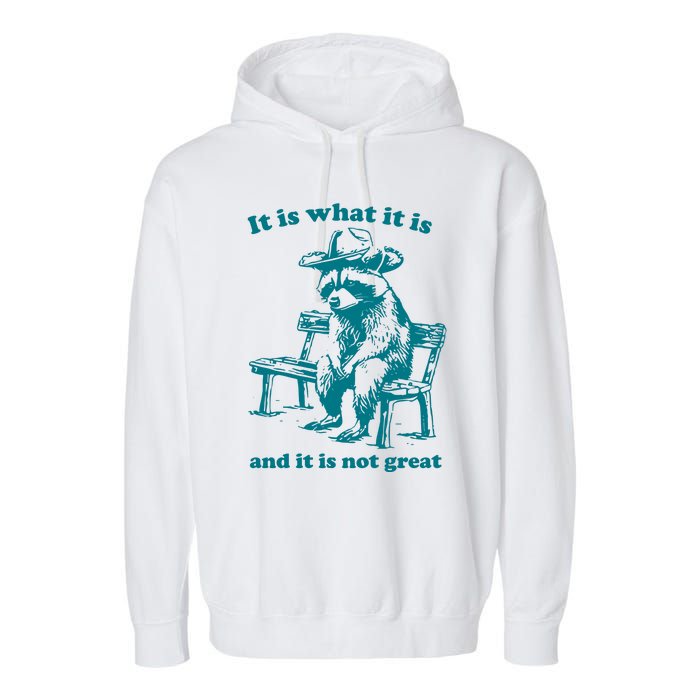 It Is What It Is And It Is Not Great Funny Raccoon Sarcastic Garment-Dyed Fleece Hoodie