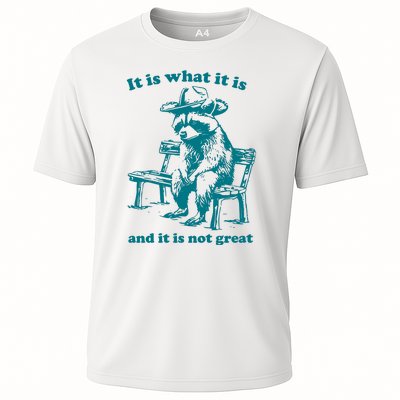 It Is What It Is And It Is Not Great Funny Raccoon Sarcastic Cooling Performance Crew T-Shirt