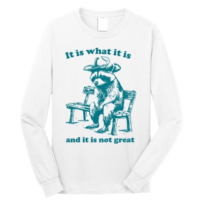 It Is What It Is And It Is Not Great Funny Raccoon Sarcastic Long Sleeve Shirt