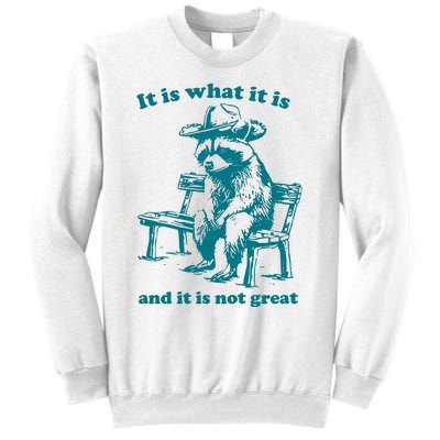 It Is What It Is And It Is Not Great Funny Raccoon Sarcastic Sweatshirt