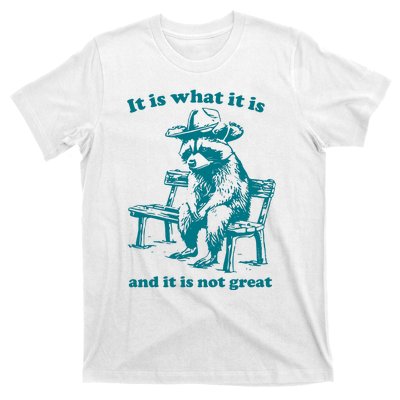 It Is What It Is And It Is Not Great Funny Raccoon Sarcastic T-Shirt