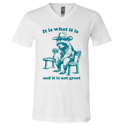 It Is What It Is And It Is Not Great Funny Raccoon Sarcastic V-Neck T-Shirt