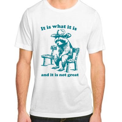 It Is What It Is And It Is Not Great Funny Raccoon Sarcastic Adult ChromaSoft Performance T-Shirt