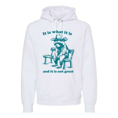 It Is What It Is And It Is Not Great Funny Raccoon Sarcastic Premium Hoodie