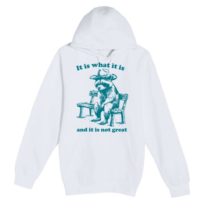 It Is What It Is And It Is Not Great Funny Raccoon Sarcastic Premium Pullover Hoodie